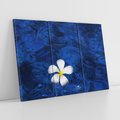 Obraz na płótnie 120x80 - Kwiaty wodne delikatność natury - kwiat, woda