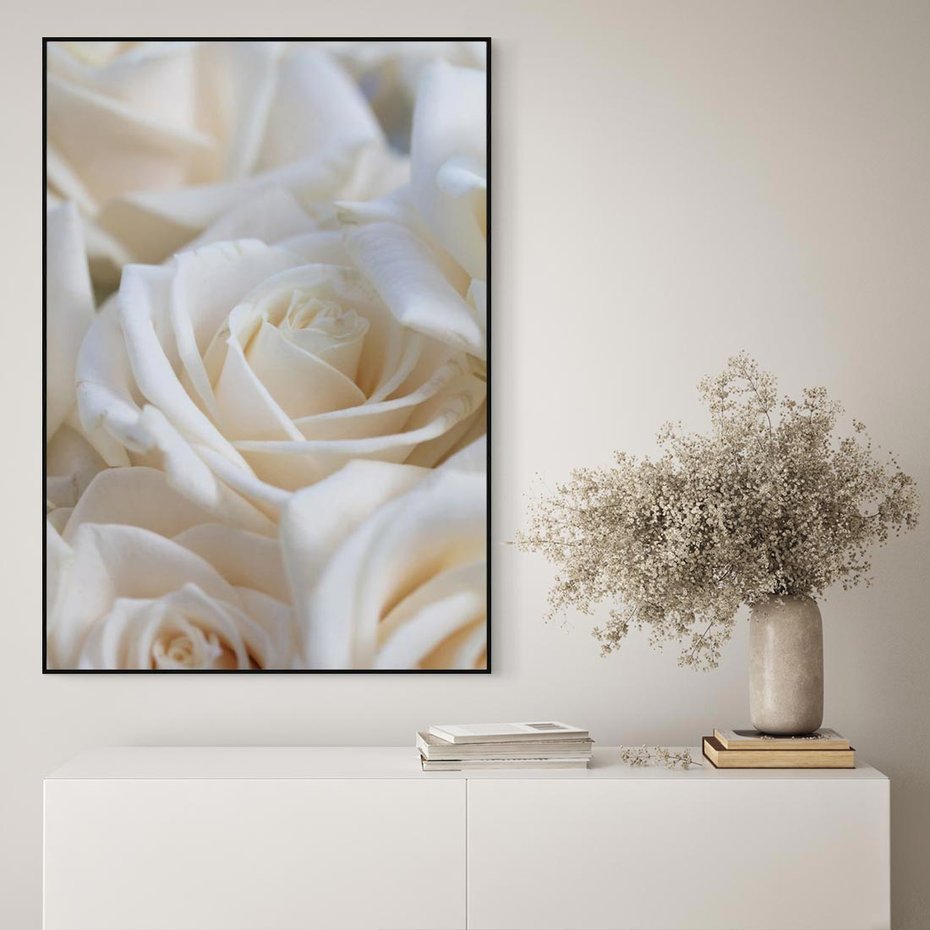 Obraz w ramie 70x100 - Białe róże piękności - białe, róże - rama czarna