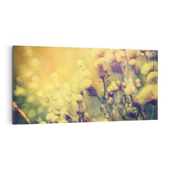 Obraz na płótnie 120x60 - Natura w pełnym rozkwicie - łąka, natura