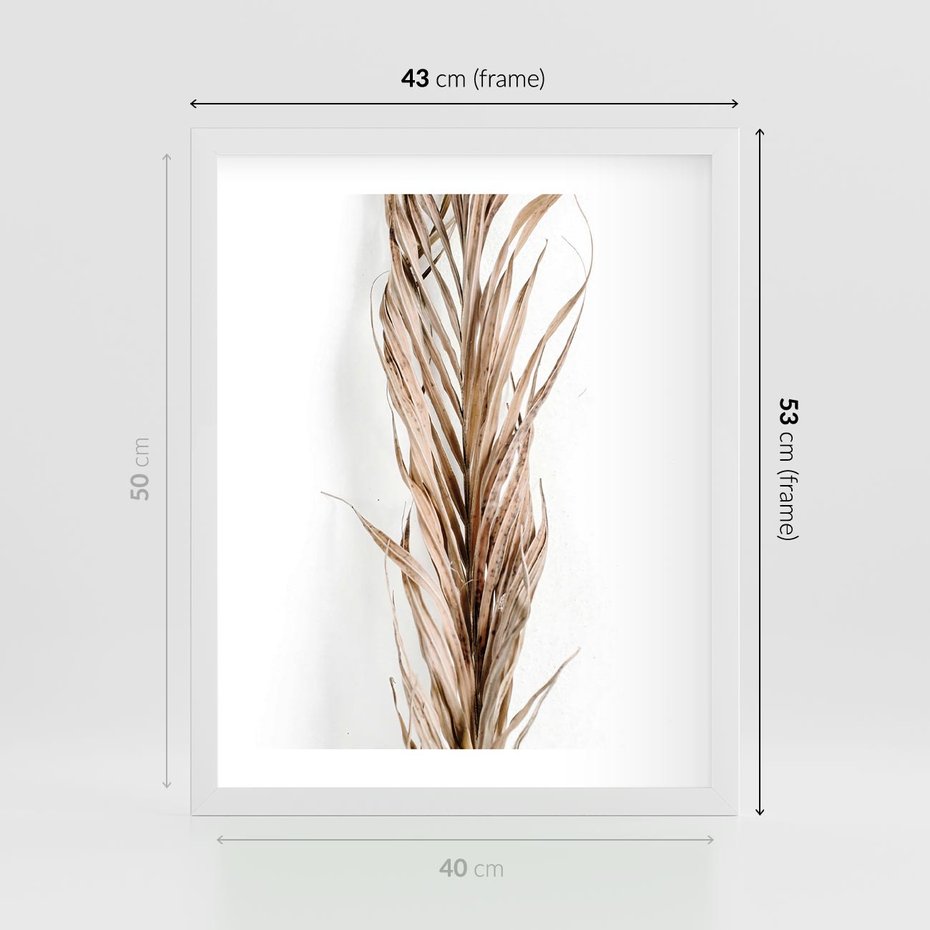 Plakat w ramie 40x50 - Minimalizm Palmowy: Sucha Uroda - sucha palma, minimalizm - rama biała