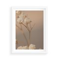 Plakat w ramie 50x70 - Subtelna gipsówka - gipsówka, suche - rama biała