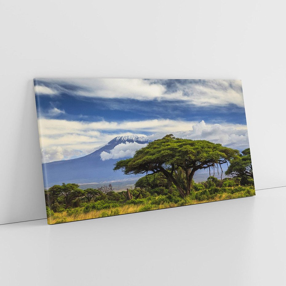 Obraz na płótnie 120x60 - Afrykańska magia - Afryka, Kenia