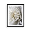 Plakat w ramie 30x40 - Białe Kwiaty Delikatności - białe, kwiaty - rama czarna