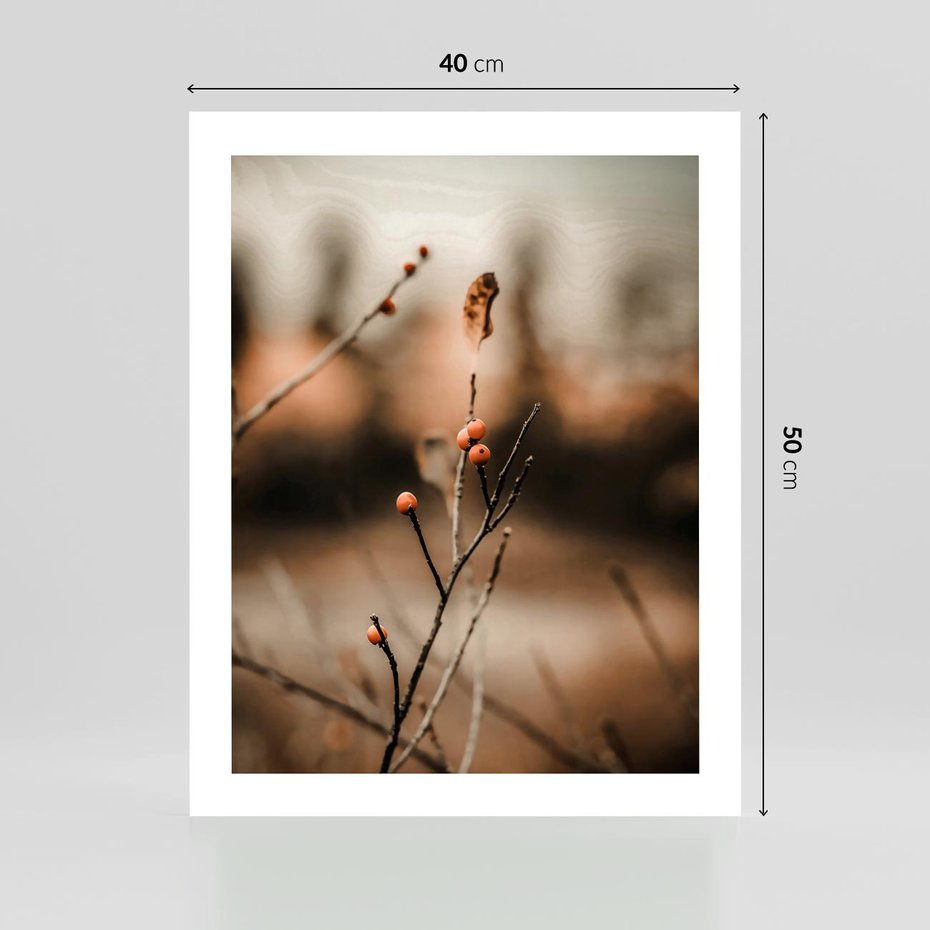 Plakat bez ramy 40x50 - Jarzębina w Pejzażu - jesień, gałązka