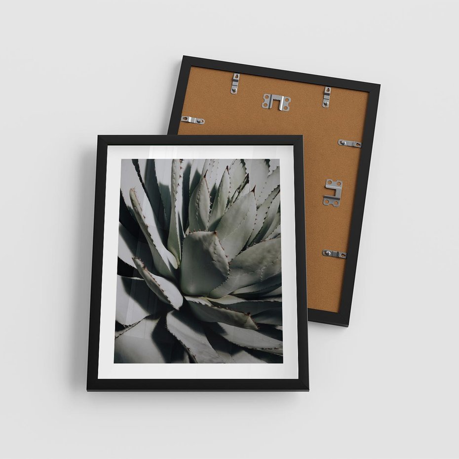 Plakat w ramie 40x50 - Sukulenty wśród kaktusów - sukulenty, kaktusy - rama czarna