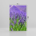 Obraz na płótnie 70x100 - Lawendowe pola piękno natury - lawenda, kwiaty