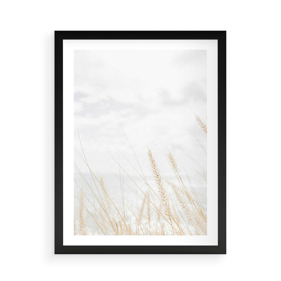 Plakat w ramie 50x70 - Jasna Delikatność: Fotografia Suchych Traw - suche trawy, jasna fotografia - rama czarna
