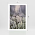 Plakat bez ramy 21x30 - Makro dmuchawiec - piękno drobnych detali - dmuchawce, makro