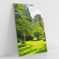 Obraz na płótnie 50x70 - Ogród: urok drzew i roślinności - ogród, drzewa