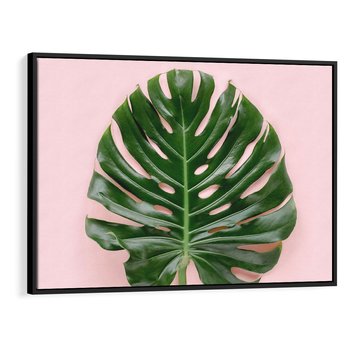 Obraz w ramie 70x50 - Egzotyczna Roślinność - liście, monstera - rama czarna