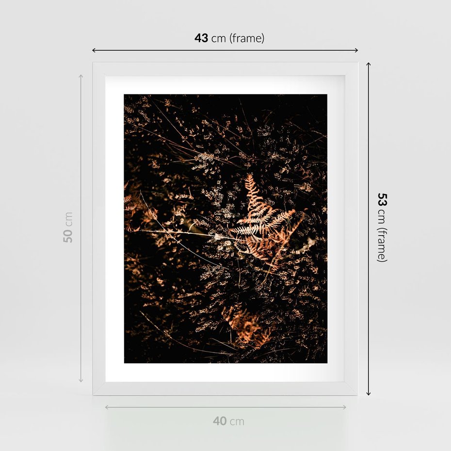 Plakat w ramie 40x50 - Jesienna Melodia - suche trawy, paprocie - rama biała