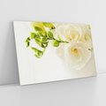 Obraz na płótnie 100x70 - Subtelność białych frezji - frezja, białe