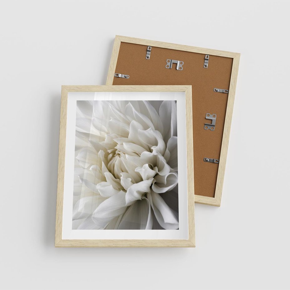 Plakat w ramie 40x50 - Białe Kwiaty Delikatności - białe, kwiaty - rama drewno