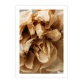 Plakat bez ramy 40x50 - Zjawiskowe zasuszone kwiaty - zasuszone, kwiaty