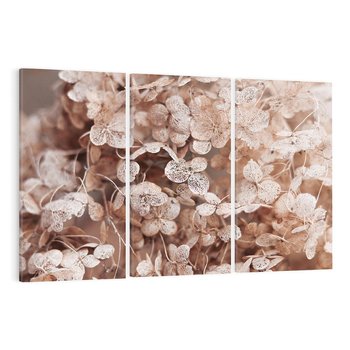 Obraz na płótnie 120x80 - Przemijająca Piękność - fotografia, zbliżenie