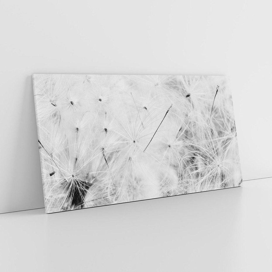 Obraz na płótnie 140x70 - Zdmuchnięty Puch - dmuchawce, delikatne