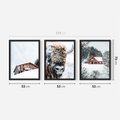 Zestaw obrazy w ramie 50x70 galeria - Zima, bizon, góry, śnieg - rama czarna