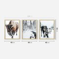 Zestaw obrazy w ramie 40x50 galeria - Bizon, łoś, zima, las - rama drewno