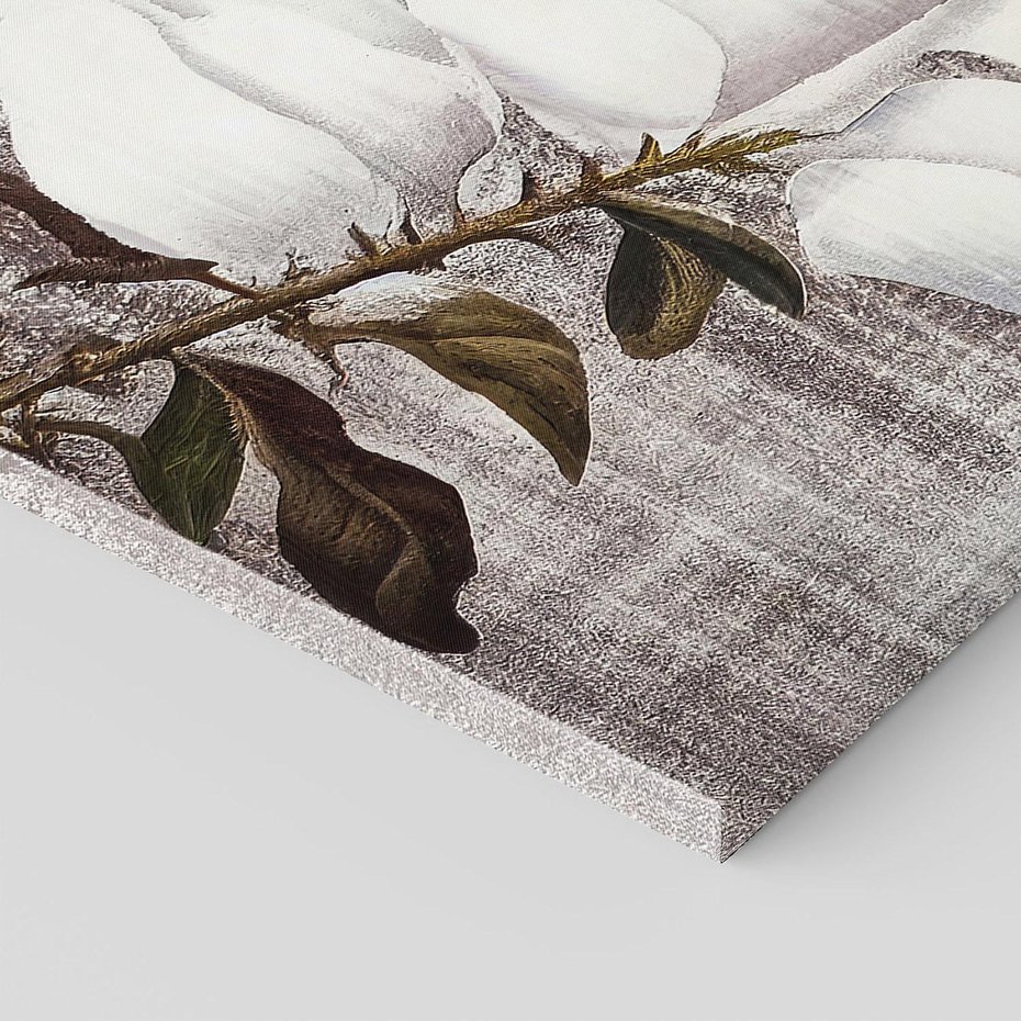 Obraz na płótnie 70x50 - Tekstura Kwiatu - białe kwiaty, duży kwiat