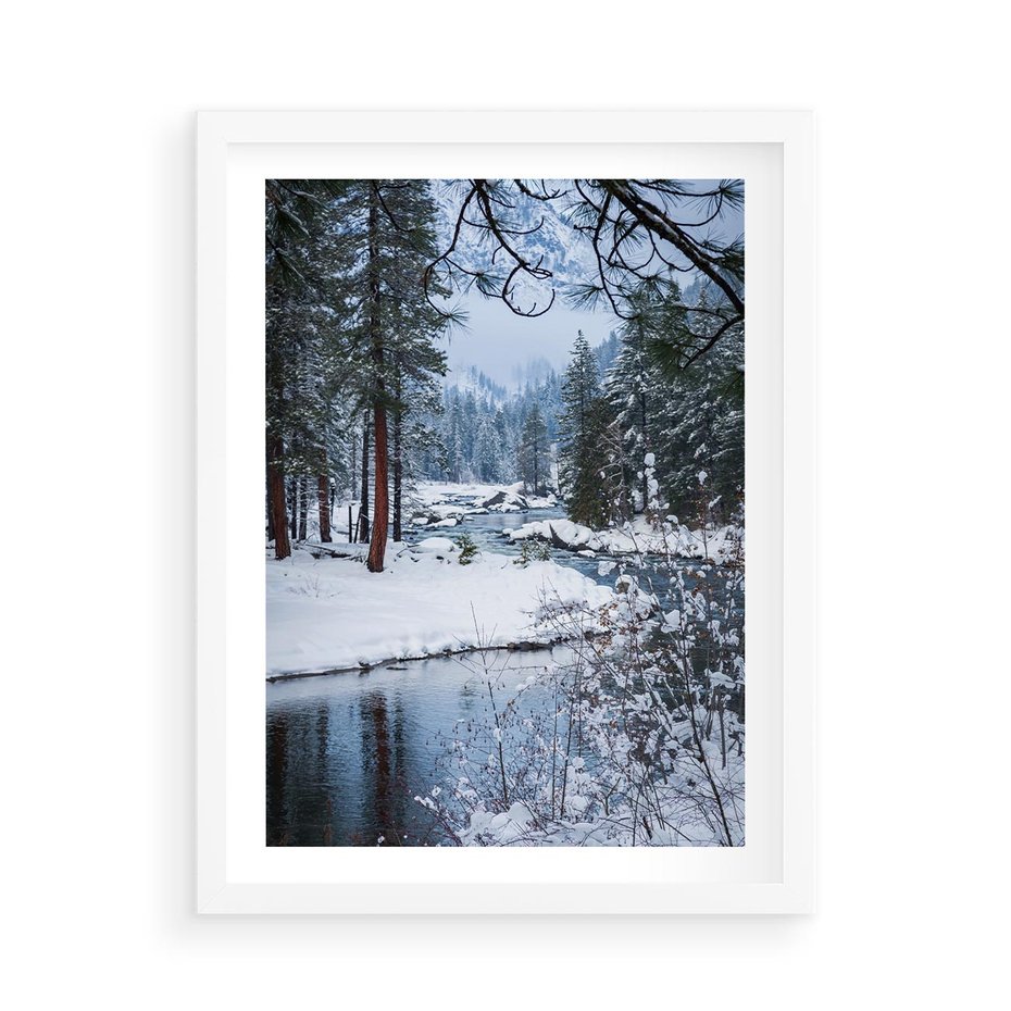 Plakat w ramie 50x70 - Śnieżne cuda - zima, las - rama biała