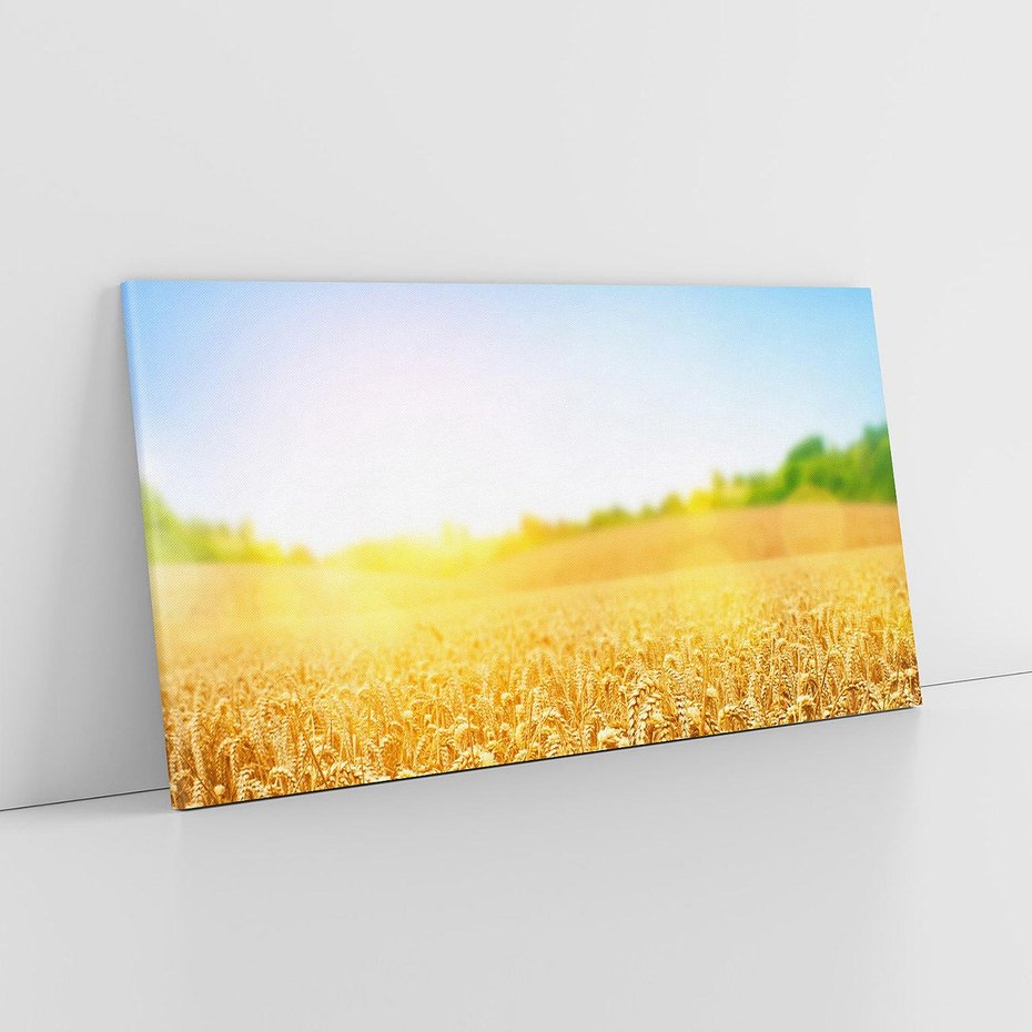 Obraz na płótnie 120x60 - Żyzne Pola - pole, pszenicy