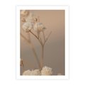 Plakat bez ramy 21x30 - Subtelna gipsówka - gipsówka, suche