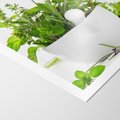Plakat bez ramy 30x40 - Kwiaty i zioła w restauracji - kwiaty, zioła