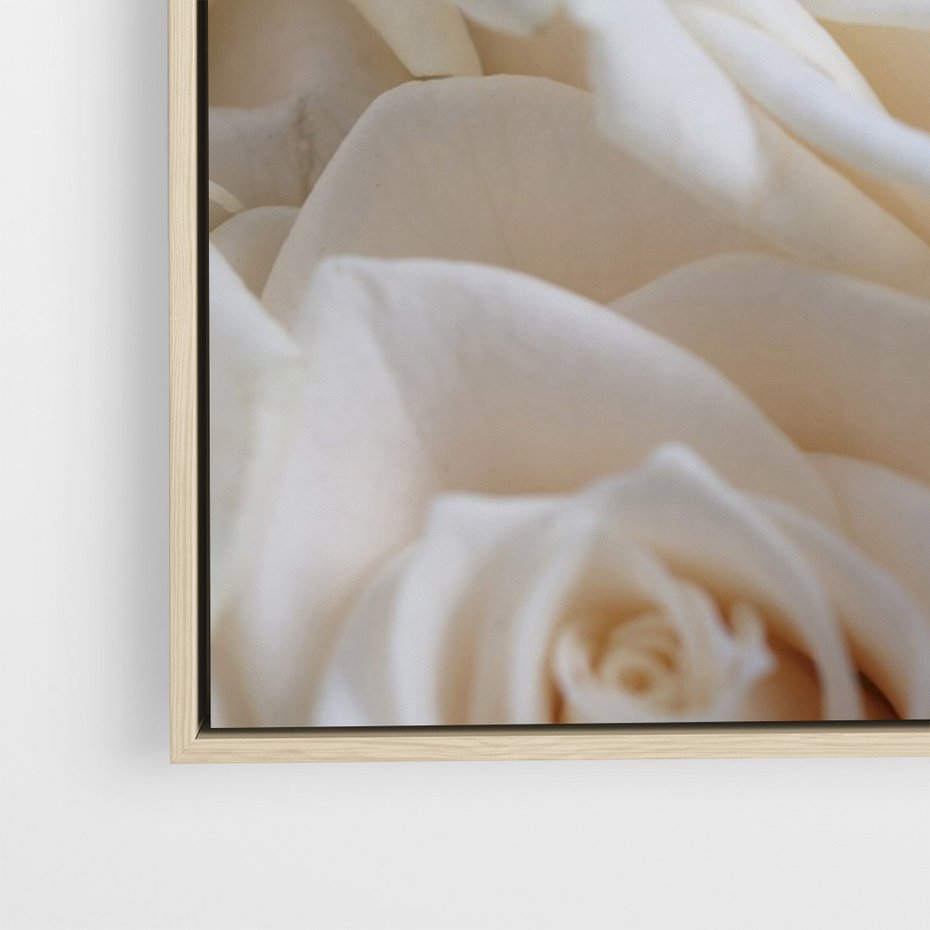 Obraz w ramie 80x120 - Białe róże piękności - białe, róże - rama drewno