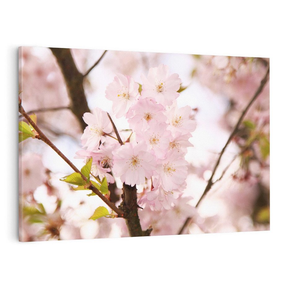 Obraz na płótnie 100x70 - Kwiatowe Różnorodnośc - kwiat, kwiaty