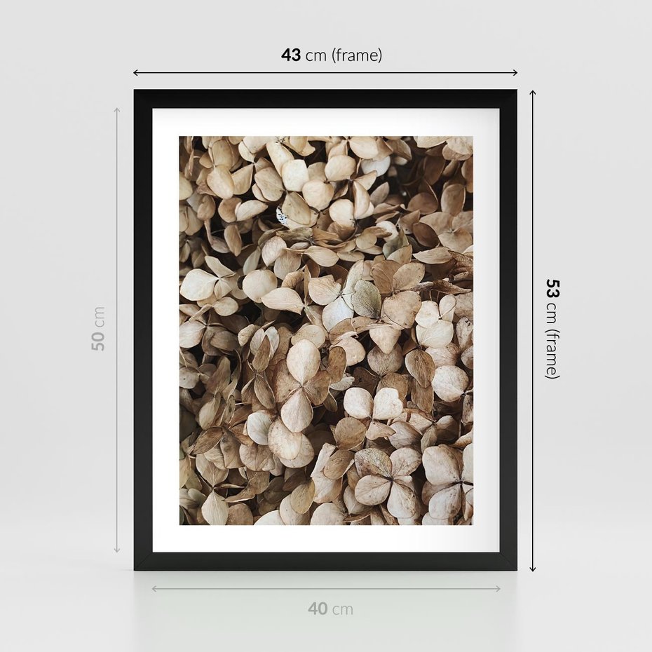 Plakat w ramie 40x50 - Delikatność Hortensji: Kompozycja Kwiatów w Beżu - hortensja, odcienie beżu - rama czarna