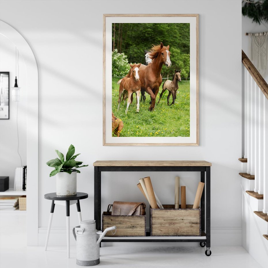 Plakat w ramie 30x40 - Galopujące konie - konie, galop - rama drewno