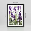 Plakat w ramie 50x70 - Fioletowa harmonia lawendy - lawenda, fiolet - rama czarna