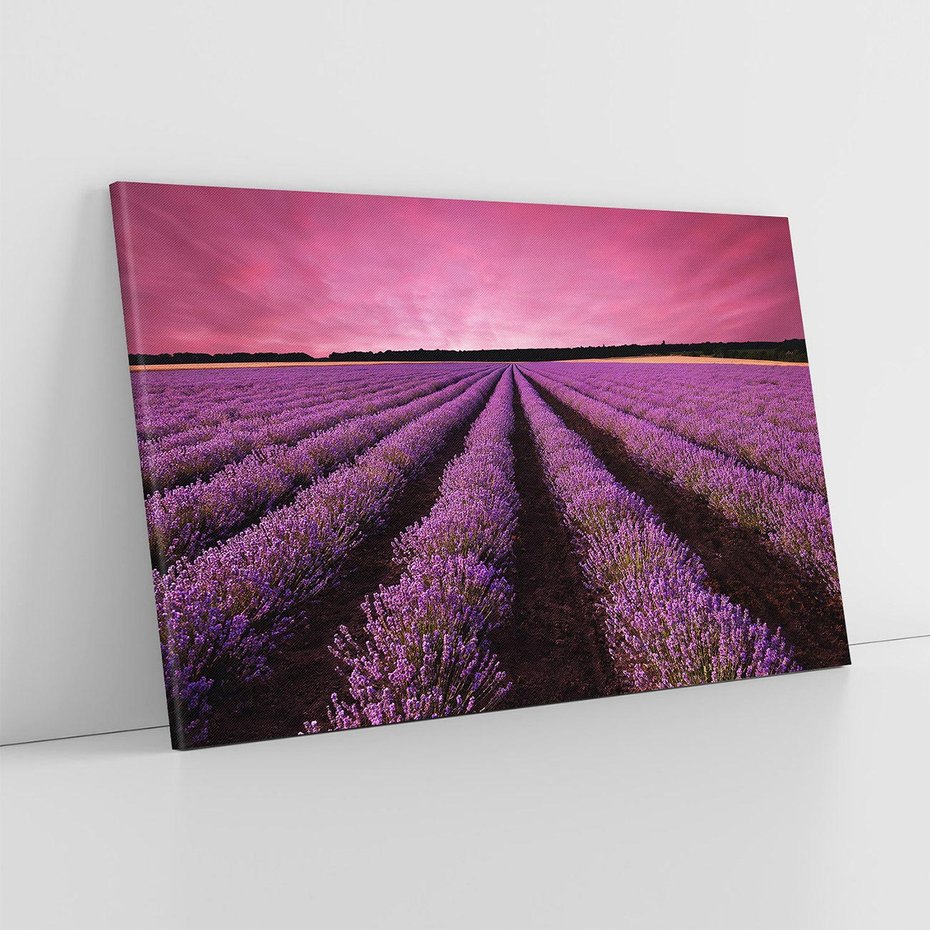 Obraz na płótnie 100x70 - Pola lawendy w pełnym rozkwicie - Lawenda, krajobraz