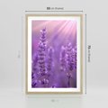 Plakat w ramie 50x70 - Fioletowa harmonia lawendy - lawenda, fiolet - rama drewno