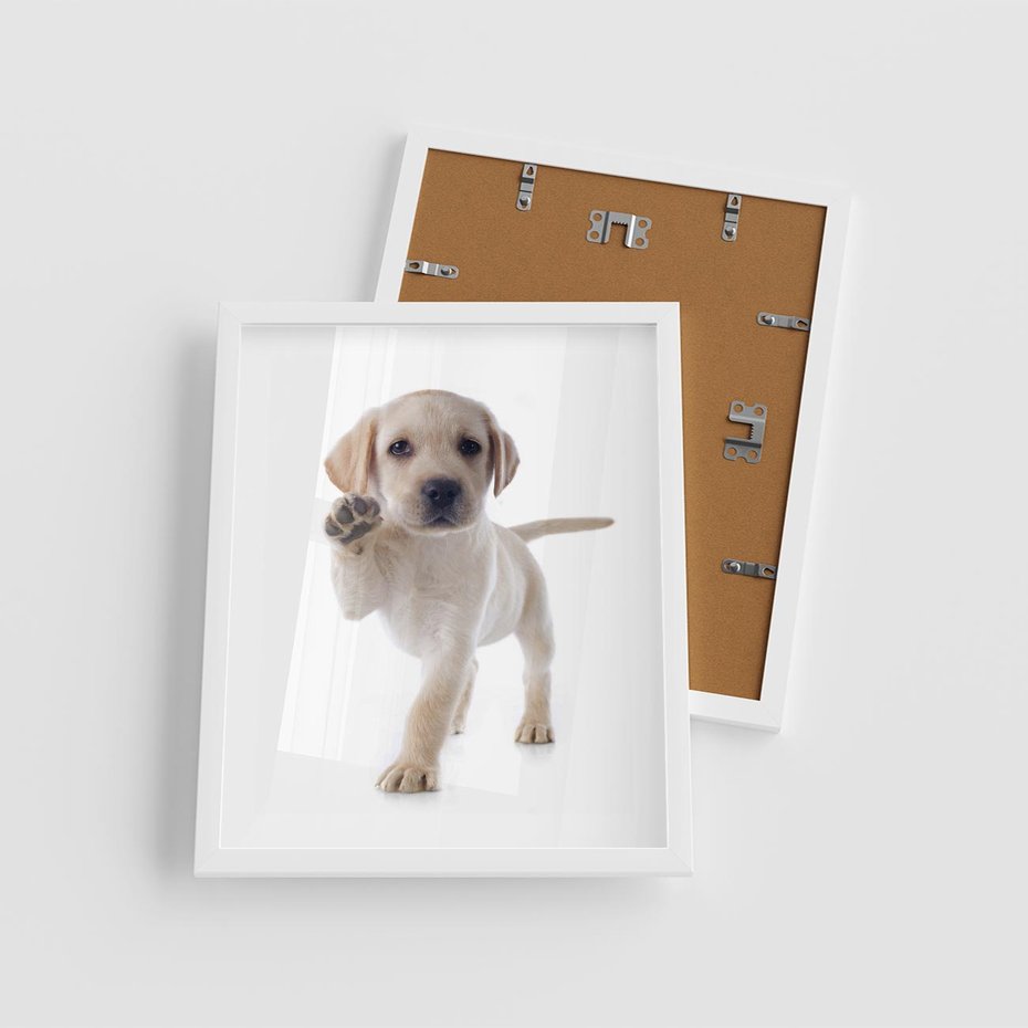 Plakat w ramie 40x50 - Szczeniak pełen radości - piesek, szczeniak - rama biała