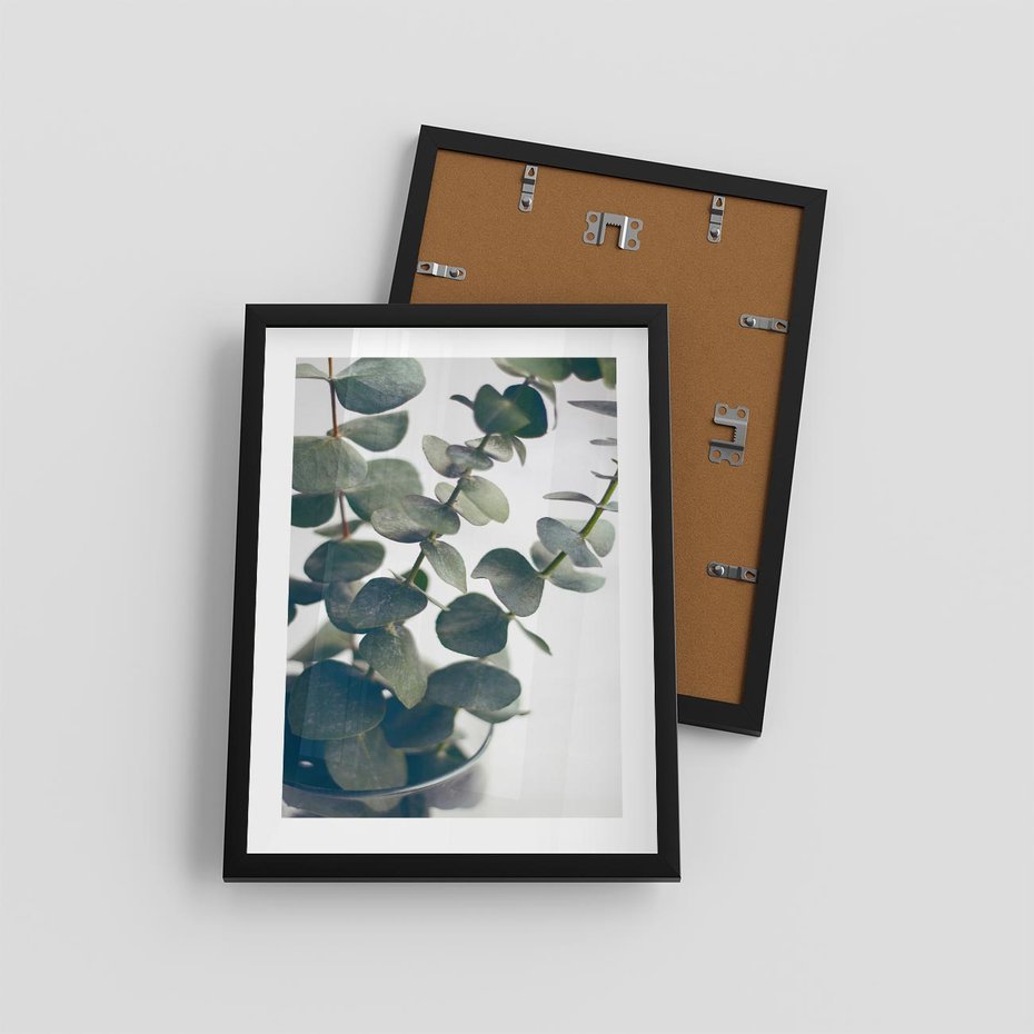 Plakat w ramie 30x40 - ukaliptusowa Harmonia - liście eukaliptusa - rama czarna