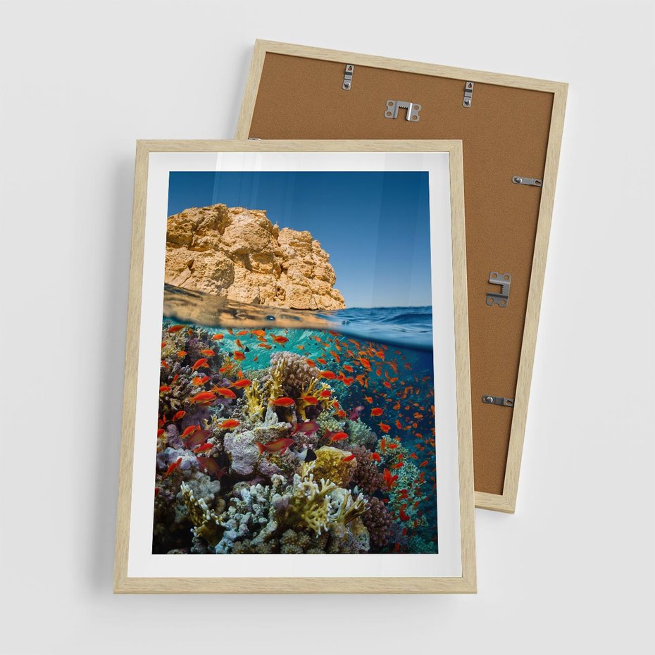 Plakat w ramie 50x70 - Rafa koralowa w oceanie - rafa, koralowa - rama drewno