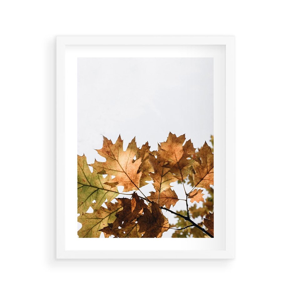 Plakat w ramie 40x50 - Suche Żółte Liście w Malowniczym Ujęciu - liście, żółte - rama biała