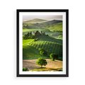 Plakat w ramie 50x70 - Prowansja: malownicze winnice w kraju Włoch - Prowansja, Włochy - rama czarna