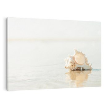 Obraz na płótnie 70x50 - Spokój Plaży - fotografia, biała muszla na plaży
