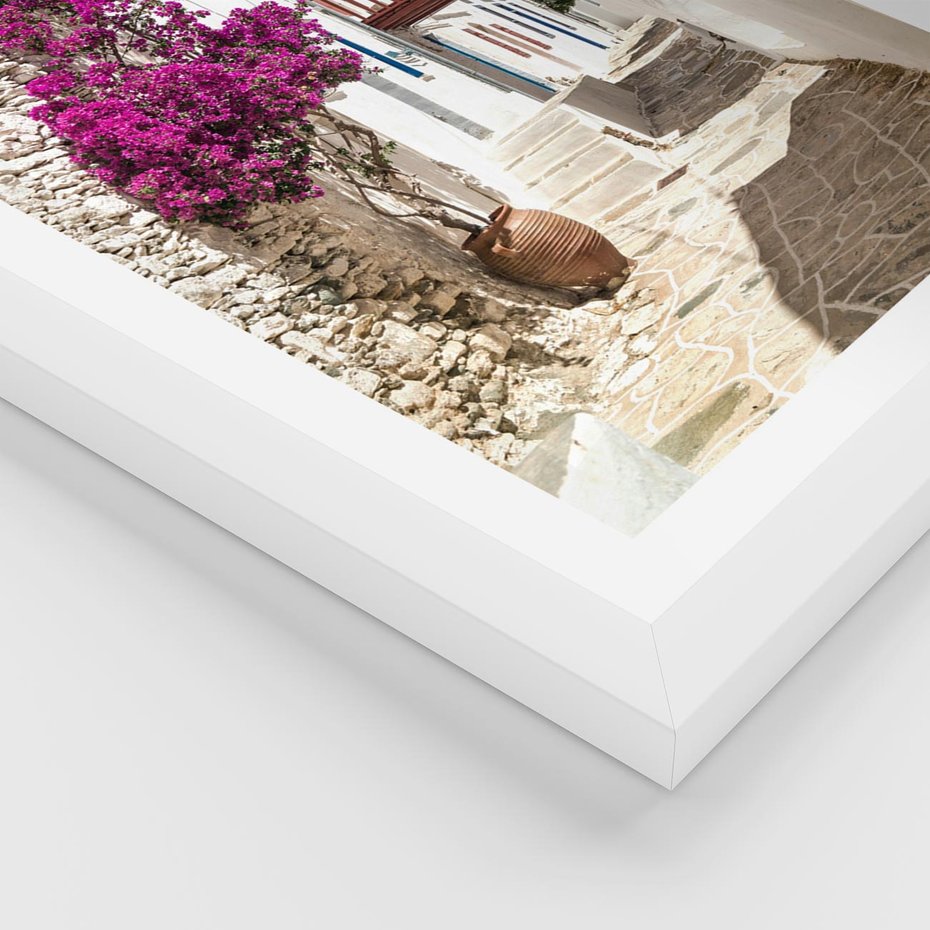 Plakat w ramie 30x40 - Kwiaty Chorwacji - kwiaty, Chorwacja - rama biała