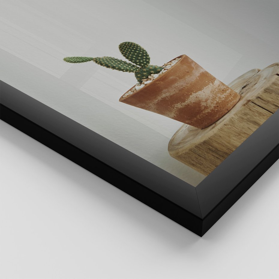 Zestaw obrazy w ramie 50x70 galeria - Kaktusy, w, doniczkach, boho - rama czarna