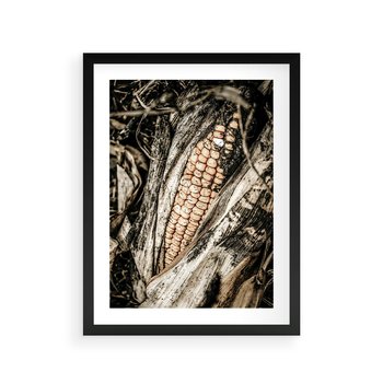 Plakat w ramie 50x70 - Kukurydza w Jesiennej Scenie - kukurydza, jesień - rama czarna