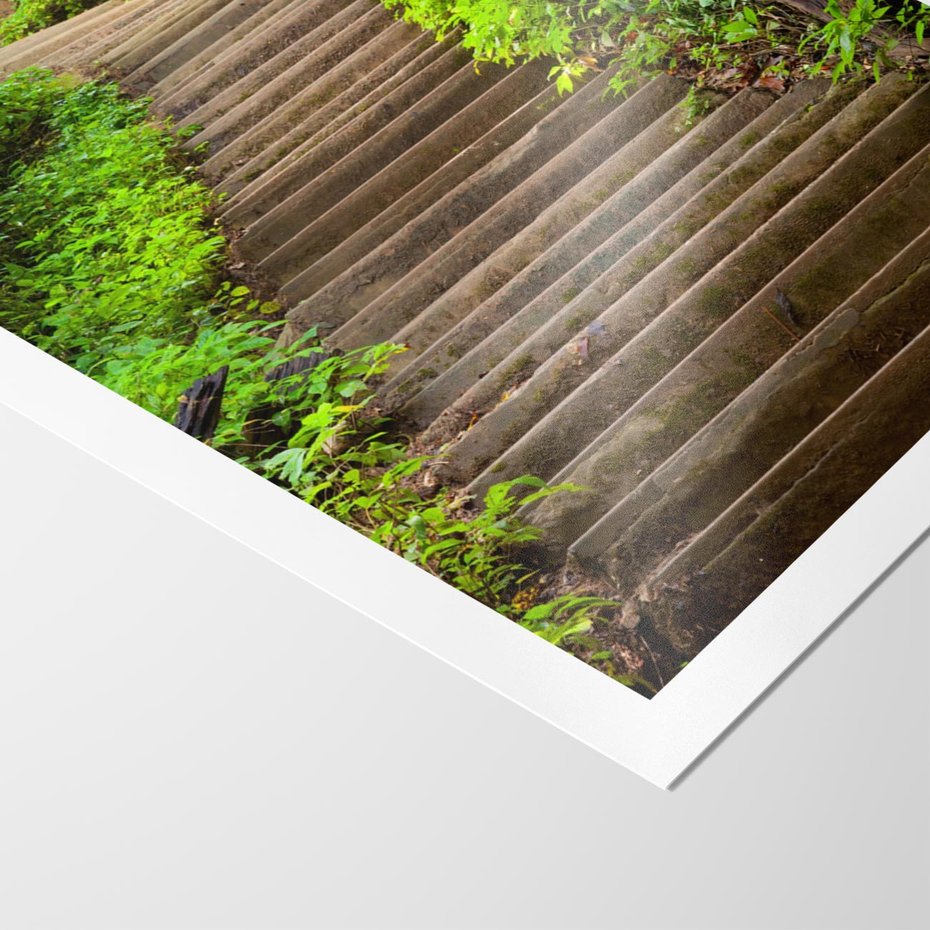 Plakat bez ramy 30x40 - Magia Leśnej Ścieżki - ścieżka, w lesie