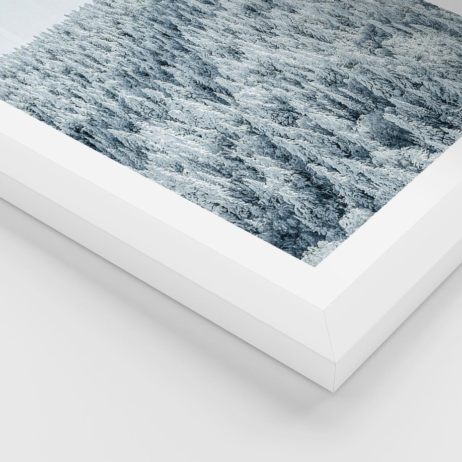 Plakat w ramie 40x50 - Cicha Zima - las, zima - rama biała