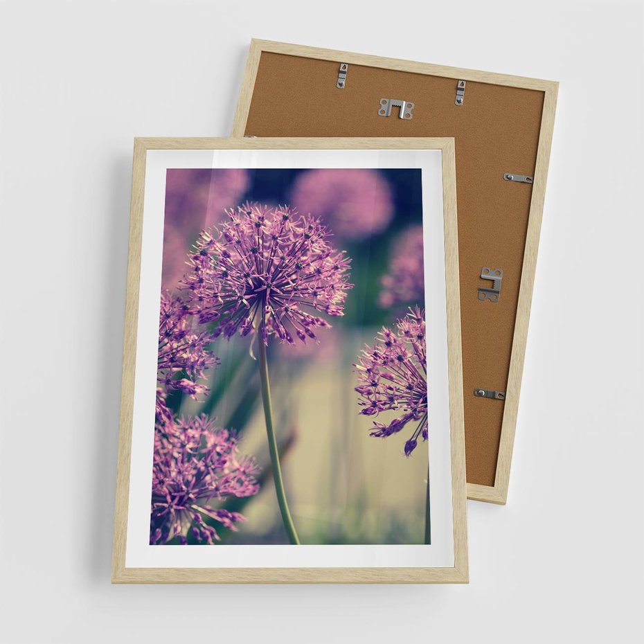 Plakat w ramie 50x70 - Kwiatowa łąka w pełnym rozkwicie - kwiaty, łąka - rama drewno