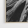 Obraz w ramie 50x50 - Siła Natury - czarno biała fotografia, korzenie wielkiego drzewa - rama drewno