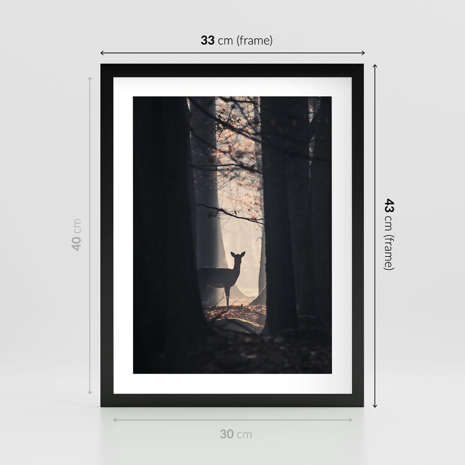 Plakat w ramie 30x40 - Sarnie Skoki - zdjęcie, klimatyczny las - rama czarna