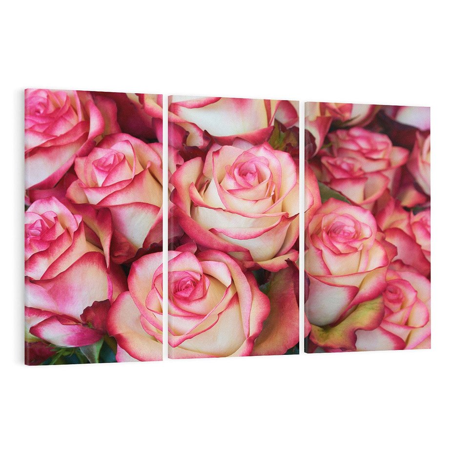 Obraz na płótnie 120x80 - Różany urok - kwiaty, róże