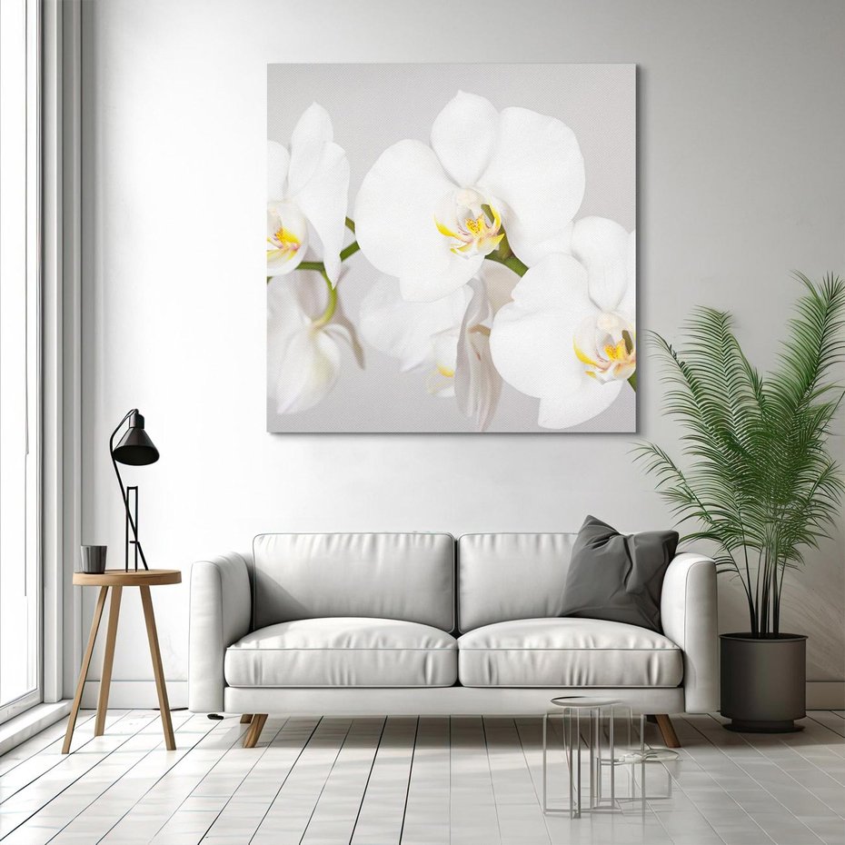 Obraz na płótnie 60x60 - kwiatowy urok - orchidea, kwiat